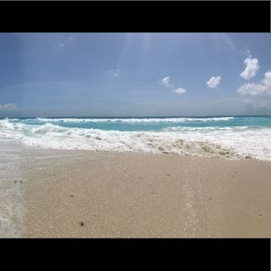 Meet your Posher, Daisy